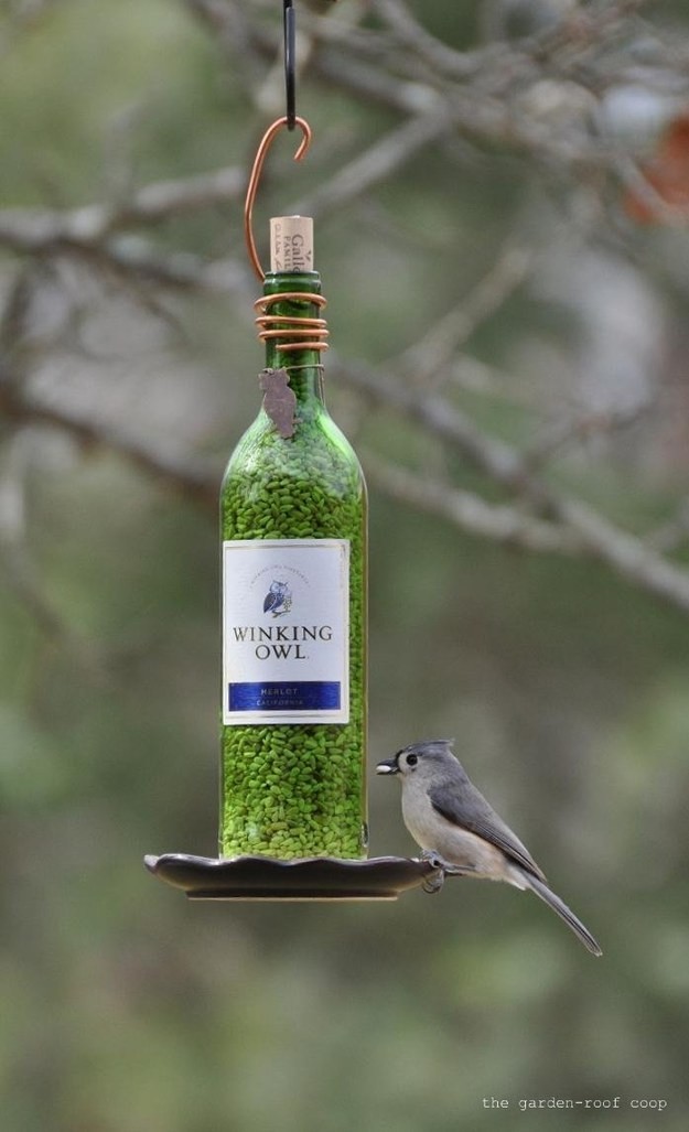 wine bottle bird feeder