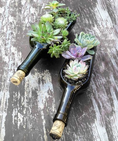 wine bottle garden